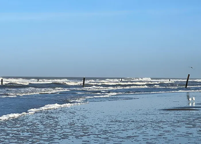 Ney-Stay Ferienwohnung Norderney